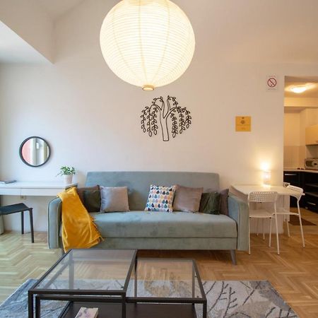 Spacious 1-Bedroom Apartment Újvidék Kültér fotó