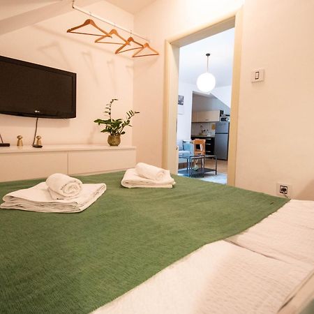 Spacious 1-Bedroom Apartment Újvidék Kültér fotó