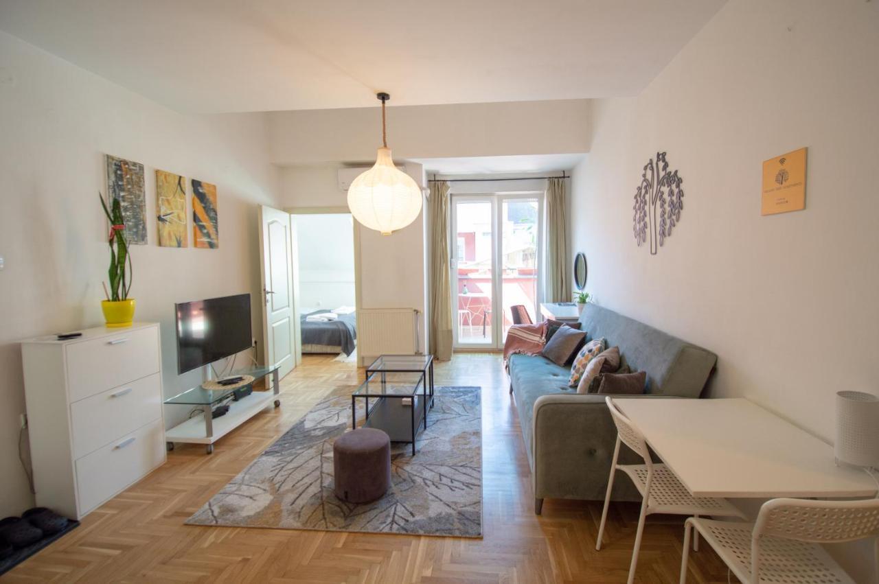 Spacious 1-Bedroom Apartment Újvidék Kültér fotó
