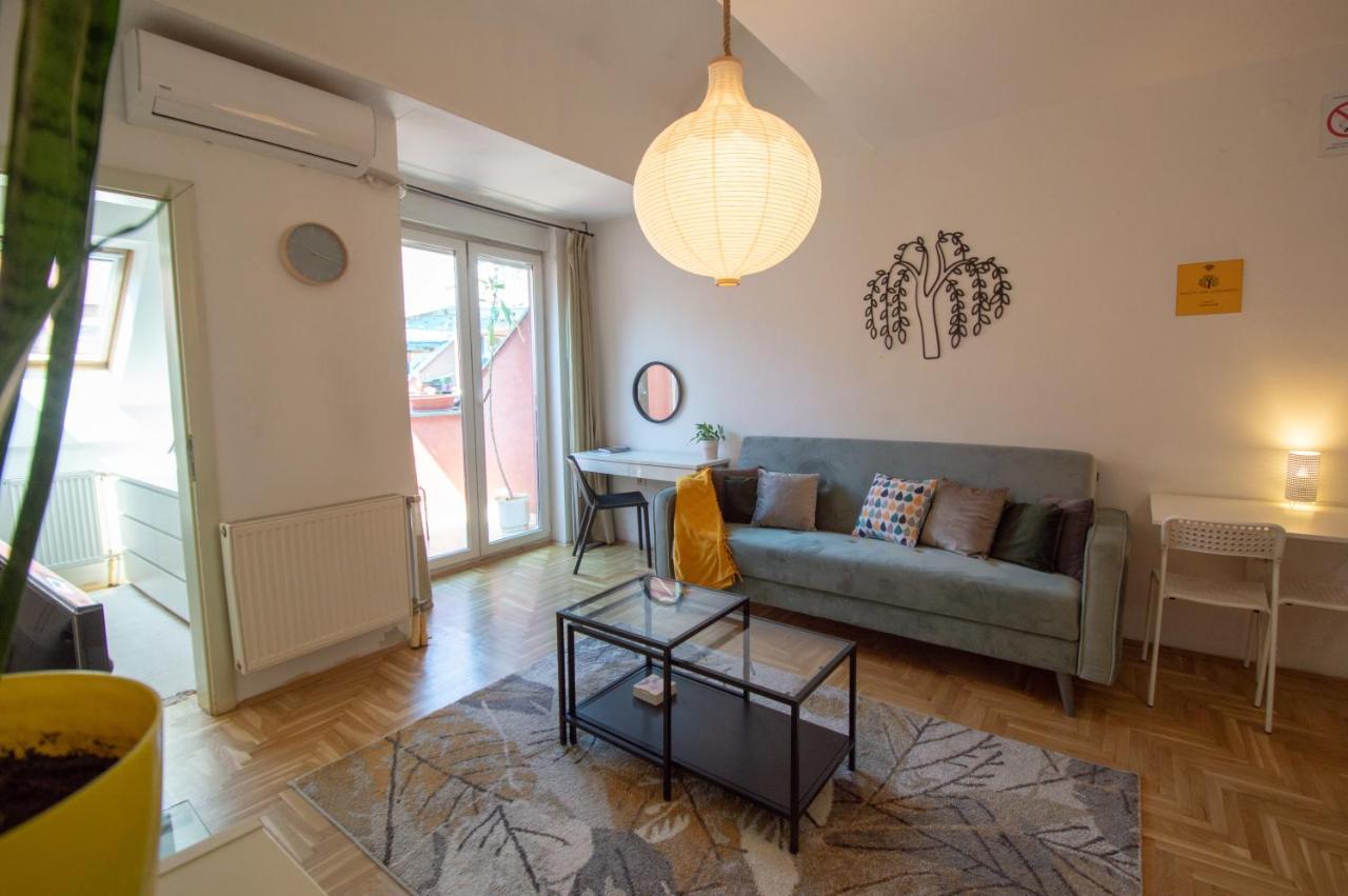 Spacious 1-Bedroom Apartment Újvidék Kültér fotó