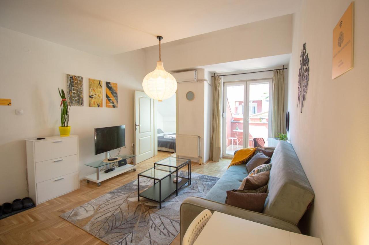 Spacious 1-Bedroom Apartment Újvidék Kültér fotó