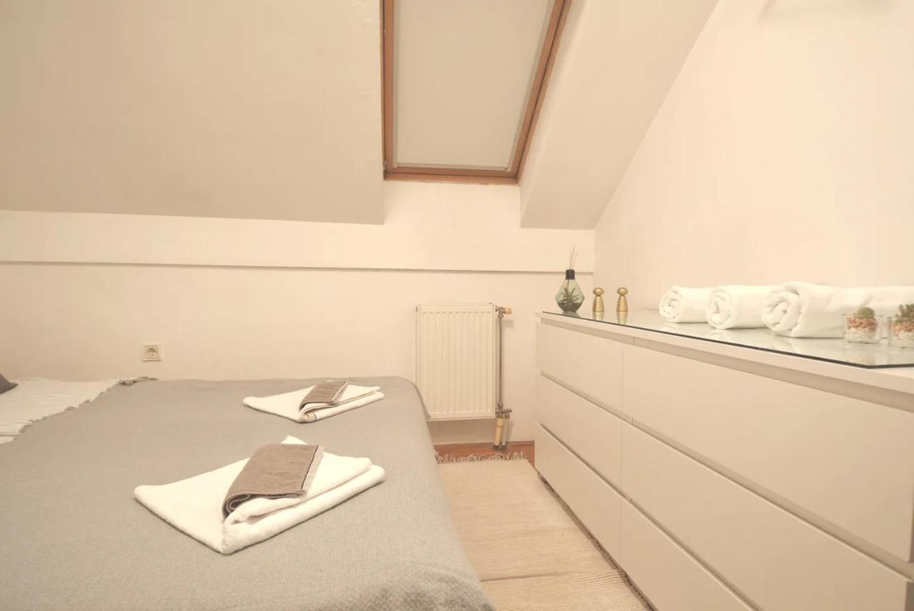 Spacious 1-Bedroom Apartment Újvidék Kültér fotó