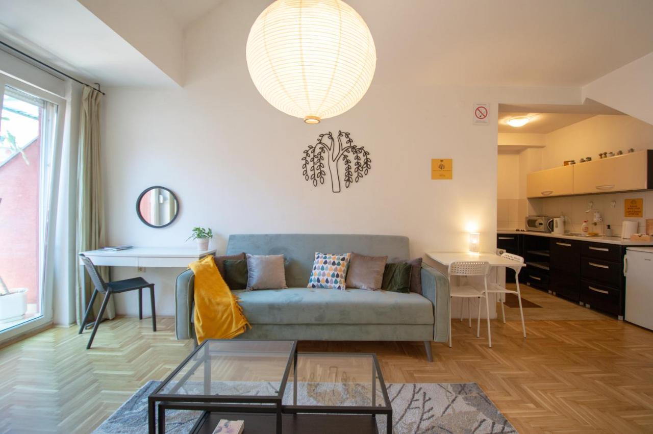 Spacious 1-Bedroom Apartment Újvidék Kültér fotó