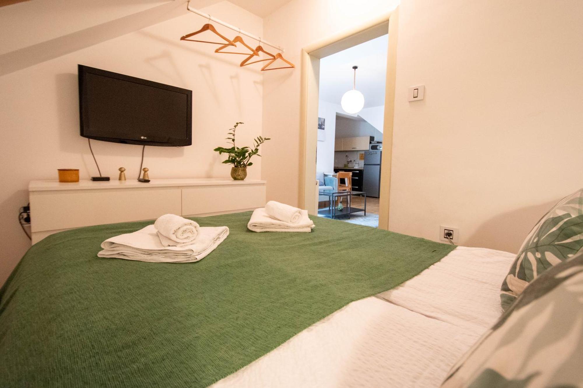 Spacious 1-Bedroom Apartment Újvidék Kültér fotó